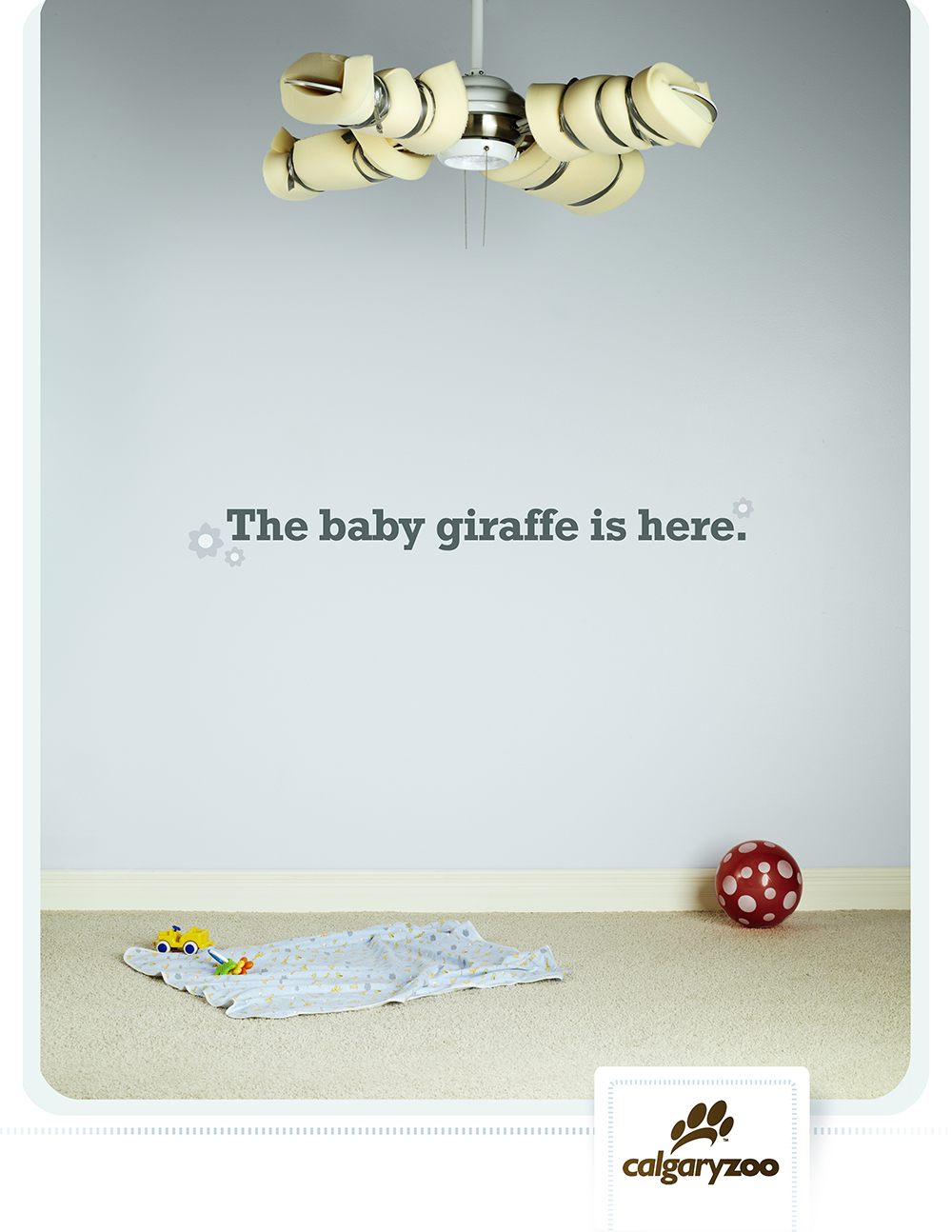 Calgary Zoo - Baby Giraffe - Fan